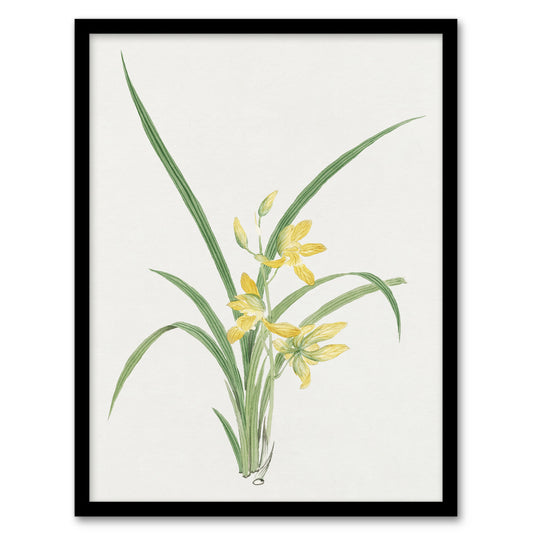 Vintage Japanese Botanical Framed Wall Art Print Yellow Lilies Home Décor