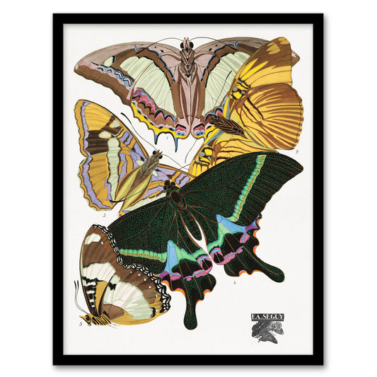Eugene Seguy Framed Wall Art Bright Vintage Butterflies Papillons Home Décor
