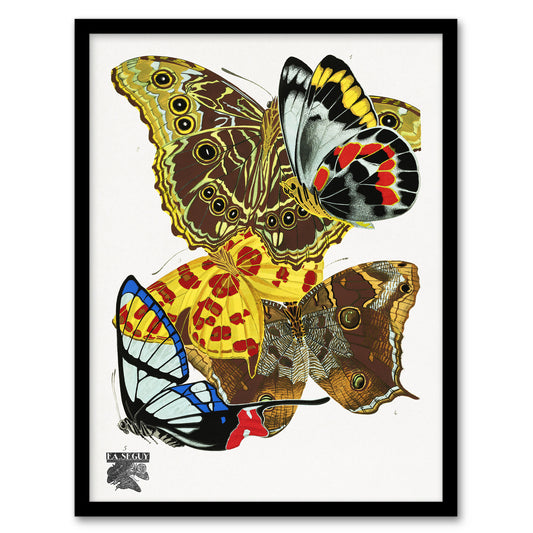 Eugene Seguy Framed Wall Art Papillons Bright Vintage Butterflies Home Décor