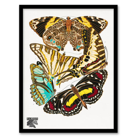Eugene Seguy Framed Wall Art Print Papillons Butterflies Vintage Home Décor