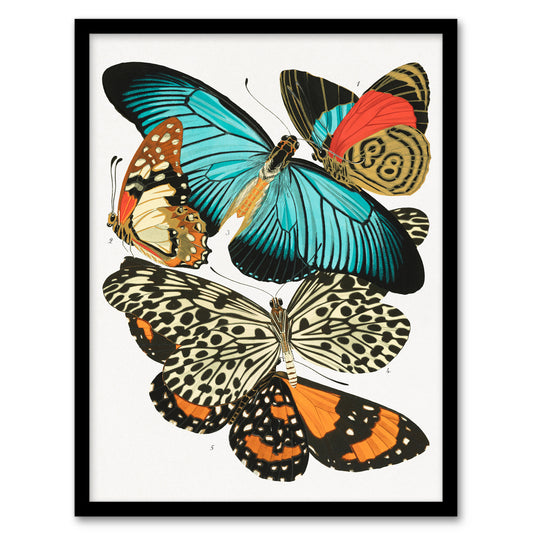 Eugene Seguy Framed Wall Art Vintage Butterflies Blue and Orange Home Décor