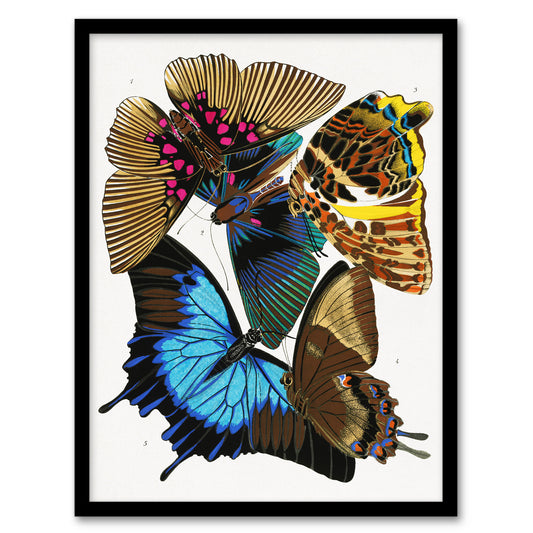 Eugene Seguy Framed Wall Art Print Colourful Vintage Butterflies Home Décor