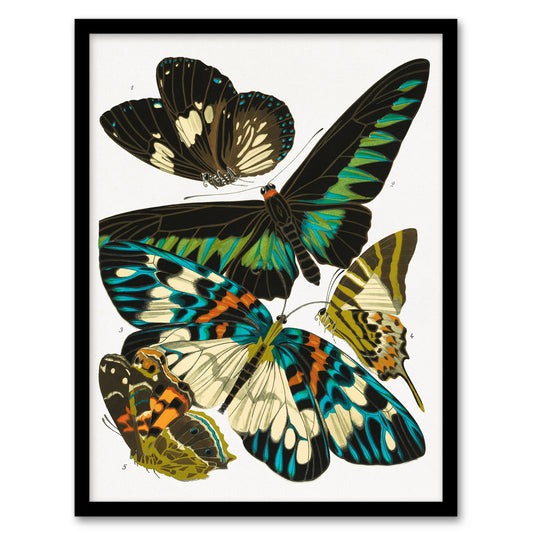 Eugene Seguy Framed Wall Art Print Vintage Butterflies Green Blue Home Décor