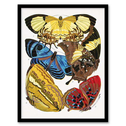 Eugene Seguy Framed Wall Art Vintage Butterflies Yellow Red Blue Home Décor