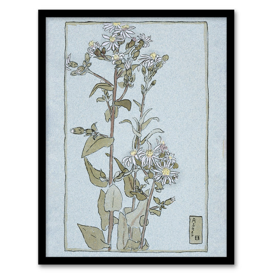 Hannah Borger Overbeck Framed Wall Art Print Aster on Green Ground Home Décor