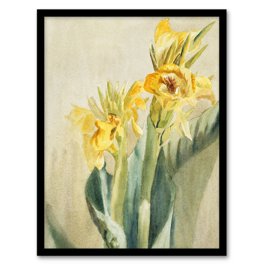 Hannah Borger Overbeck Framed Wall Art Yellow Canna Lily Flowers Home Décor