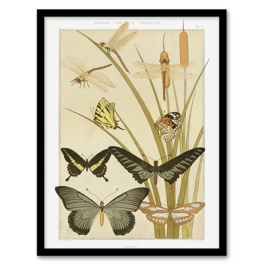 Maurice Pillard Verneuil Framed Wall Art Butterflies and Dragonflies Home Décor