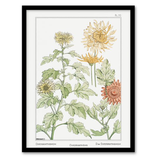 Maurice Pillard Verneuil Framed Wall Art Print Chrysanthemum Flower Home Décor