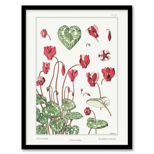 Maurice Pillard Verneuil Framed Wall Art Print Cyclamen Flower Plant Home Décor