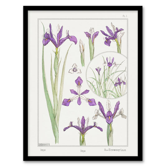 Maurice Pillard Verneuil Framed Wall Art Print Purple Iris Flower Home Décor