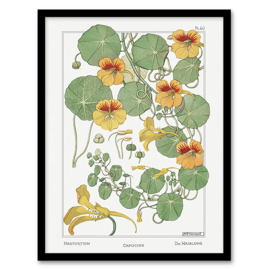 Maurice Pillard Verneuil Framed Wall Art Print Nasturtium Flower Home Décor