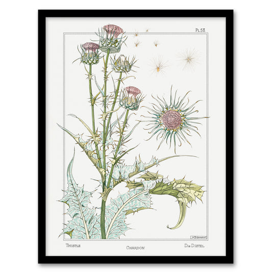 Maurice Pillard Verneuil Framed Wall Art Print Thistle Flower Plant Home Décor