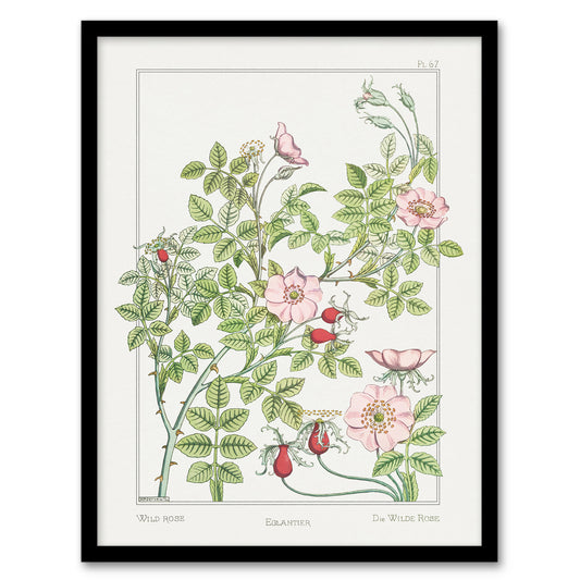 Maurice Pillard Verneuil Framed Wall Art Print Wild Rose Flower Home Décor