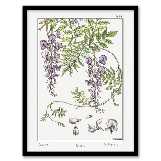 Maurice Pillard Verneuil Framed Wall Art Print Wisteria Flower Home Décor
