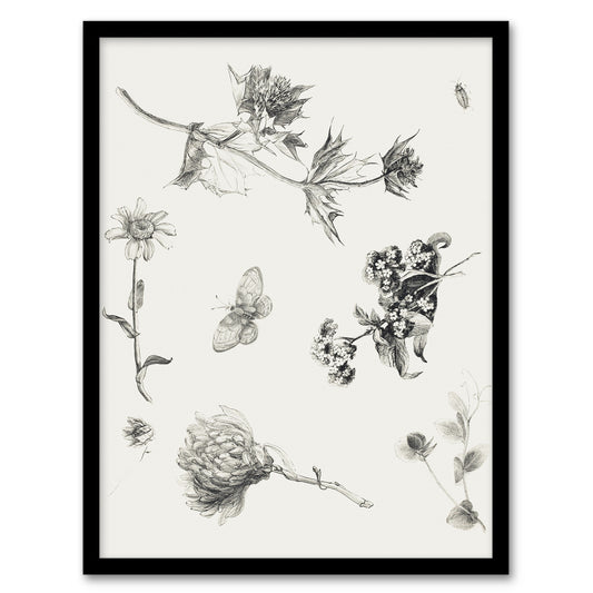 Theo van Hoytema Framed Wall Art Flowers Leaves and Butterfly Drawing Home Décor