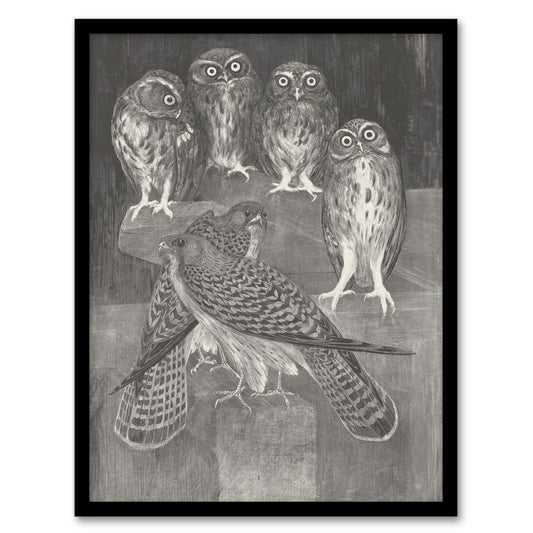 Theo van Hoytema Framed Wall Art Print Four Owls and Two Kestrels Home Décor