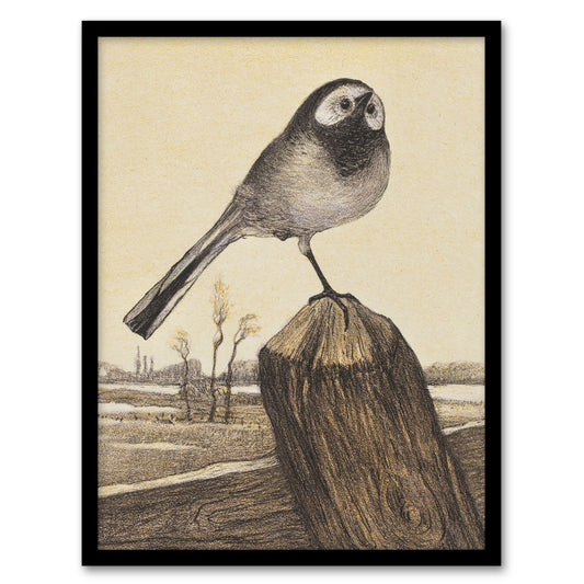 Theo van Hoytema Framed Wall Art Print Wagtail Bird Perched on Pole Home Décor