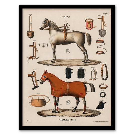 Alp Camille Jeune Framed Wall Art Vintage Horseback Riding Equipment Home Décor