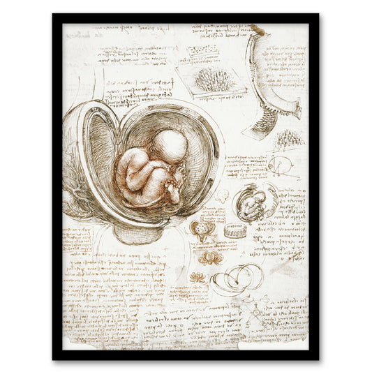 Leonardo da Vinci Framed Wall Art Studies of the Foetus in the Womb Home Décor