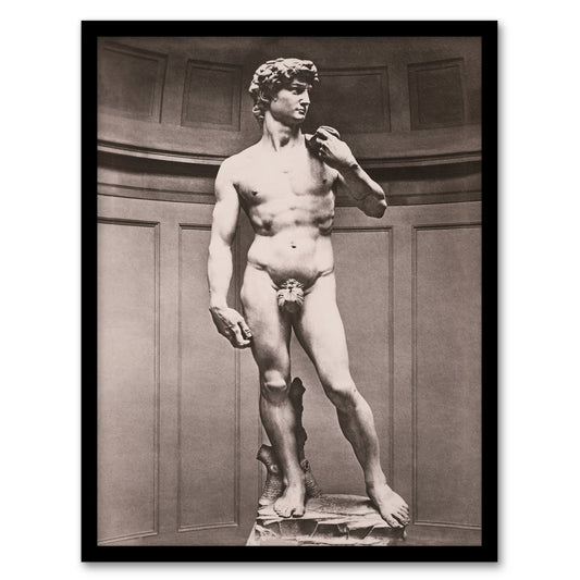 Michelangelo Framed Wall Art Print Statue of David Vintage Photograph Home Décor