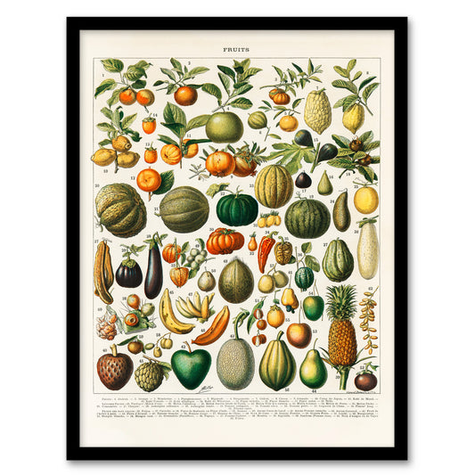 Nouveau Larousse Illustre Framed Wall Art Print Fruits and Vegetables Home Décor