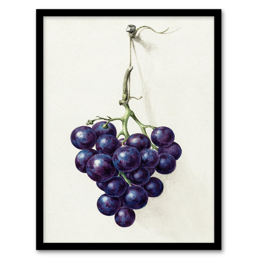 Jean Bernard Framed Wall Art Print Bunch of Blue Grapes Oil Painting Home Décor
