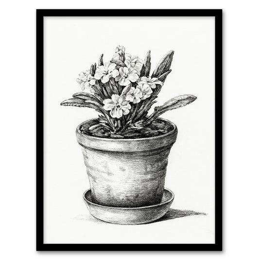 Jean Bernard Framed Wall Art Potted Flowering Plant Pencil Drawing Home Décor