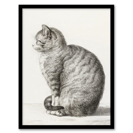 Jean Bernard Framed Wall Art Print Sitting Smiling Cat Pencil Drawing Home Décor