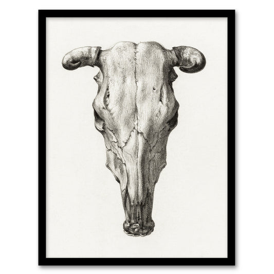 Jean Bernard Framed Wall Art Print Skull of a Cow Pencil Drawing Home Décor