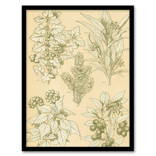 Owen Jones Framed Wall Art Leaves From Nature No 7 Vintage Botanical Home Décor