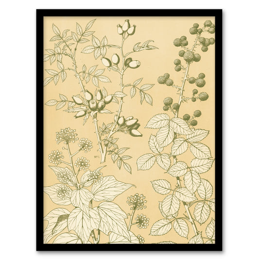 Owen Jones Framed Wall Art Wild Rose Ivy Blackberry Vintage Botanical Home Décor