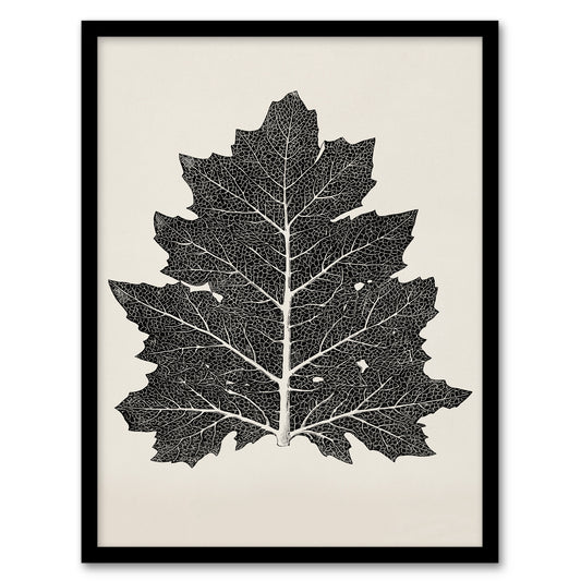 Owen Jones Framed Wall Art Print Vintage Black and White Leaf Drawing Home Décor