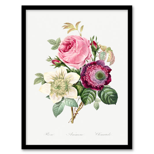 Pierre Joseph Redoute Framed Wall Art Anemone and Cabbage Rose Flower Home Décor