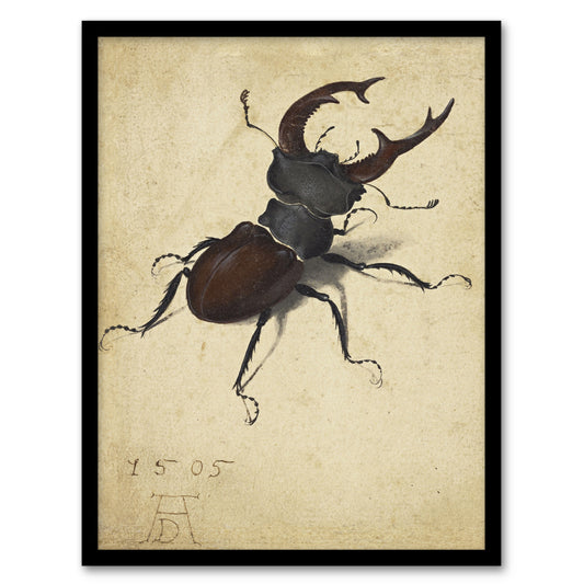 Albrecht Durer Stag Beetle Nature Study Painting Framed Wall Art Print