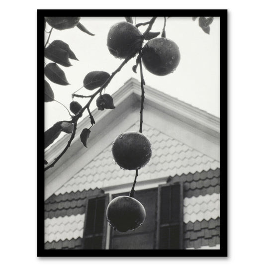 Alfred Stieglitz Gable and Apples Vintage Photograph Framed Wall Art Print