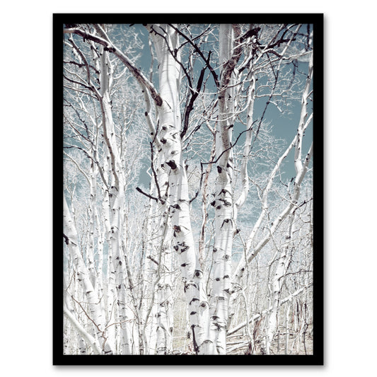 Carol M Highsmith Birch Trees in Utah Photograph Framed Wall Art Print
