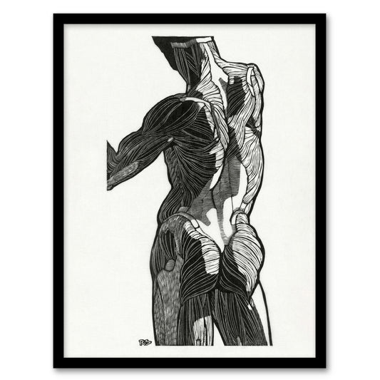 Reijer Stolk Anatomical Study Of Gluteal Muscles Framed Wall Art Print