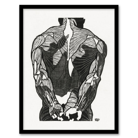 Reijer Stolk Anatomical Study Of Mans Back Muscles Framed Wall Art Print