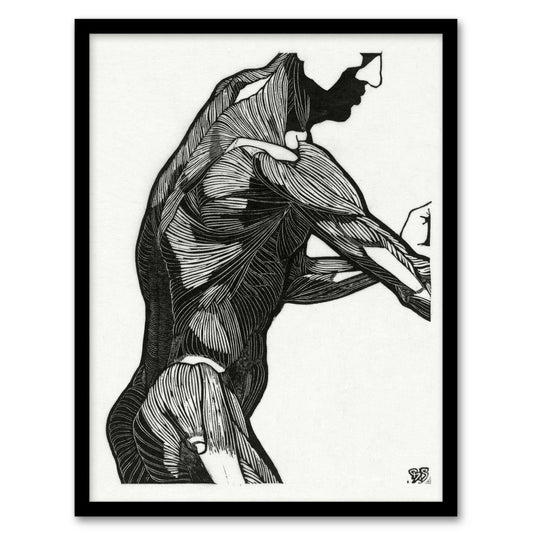 Reijer Stolk Anatomical Study Of a Mans Lateral Muscles Framed Wall Art Print