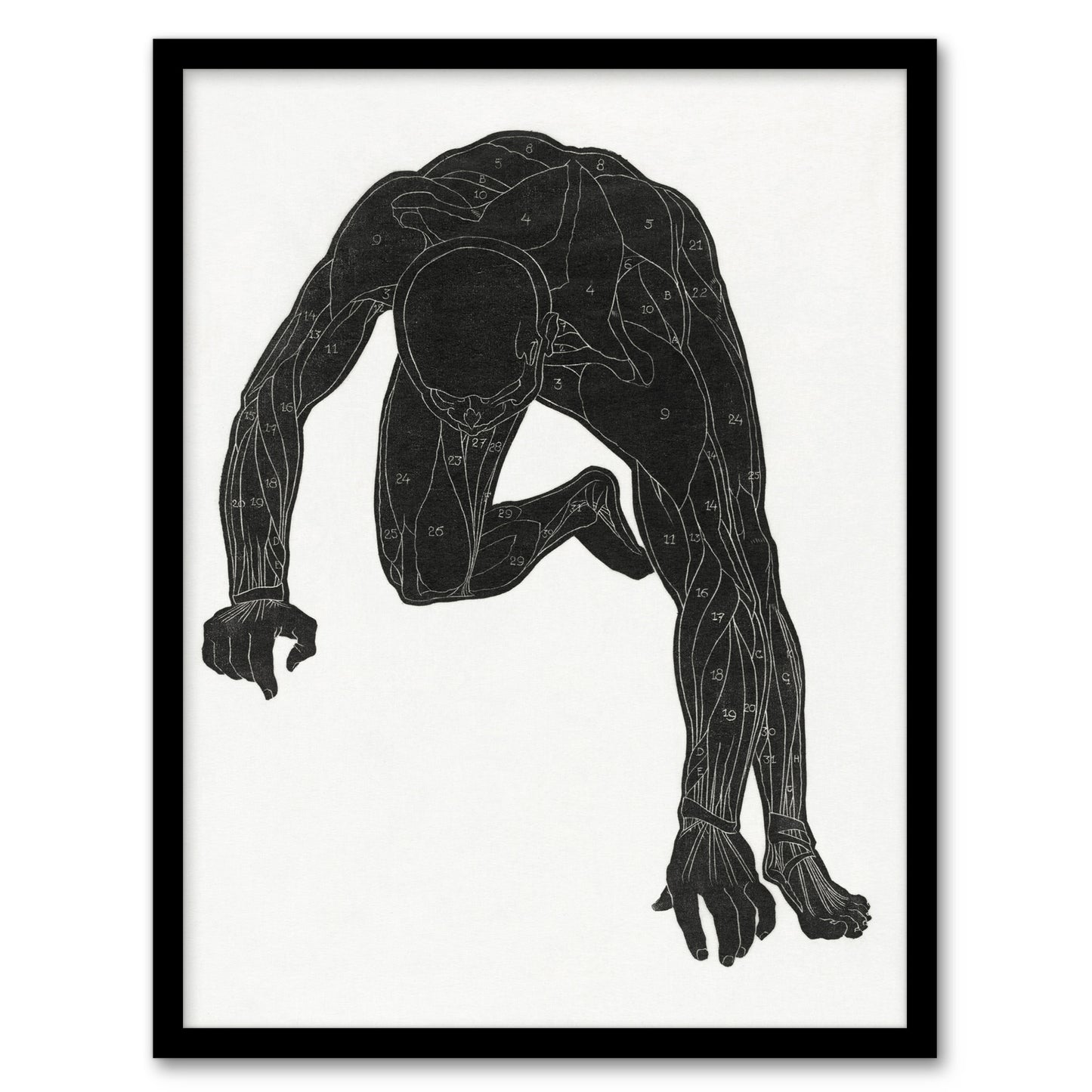 Reijer Stolk Man Silhouette Anatomical Study of Muscles Framed Wall Art Print