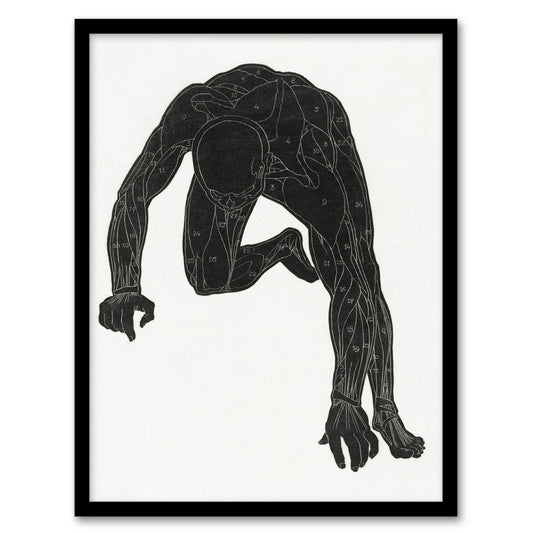 Reijer Stolk Man Silhouette Anatomical Study of Muscles Framed Wall Art Print