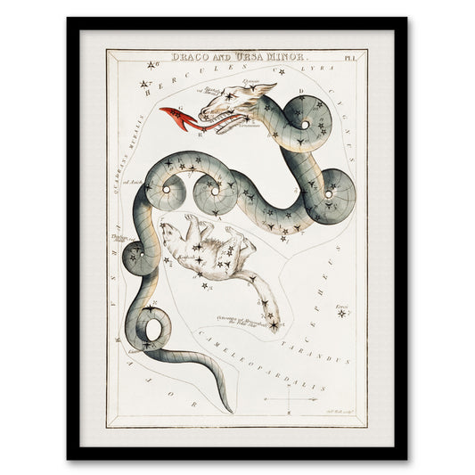 Sidney Hall Draco and Ursa Minor Constellation Framed Wall Art Picture Print