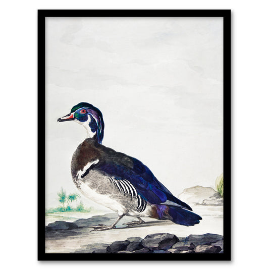 Aert Schouman Framed Wall Art Wood Duck Vintage Bird Oil Painting Home Décor