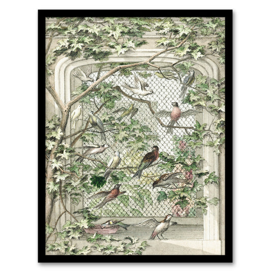 Aert Schouman Framed Wall Art Print Aviary with Fourteen Birds Home Décor