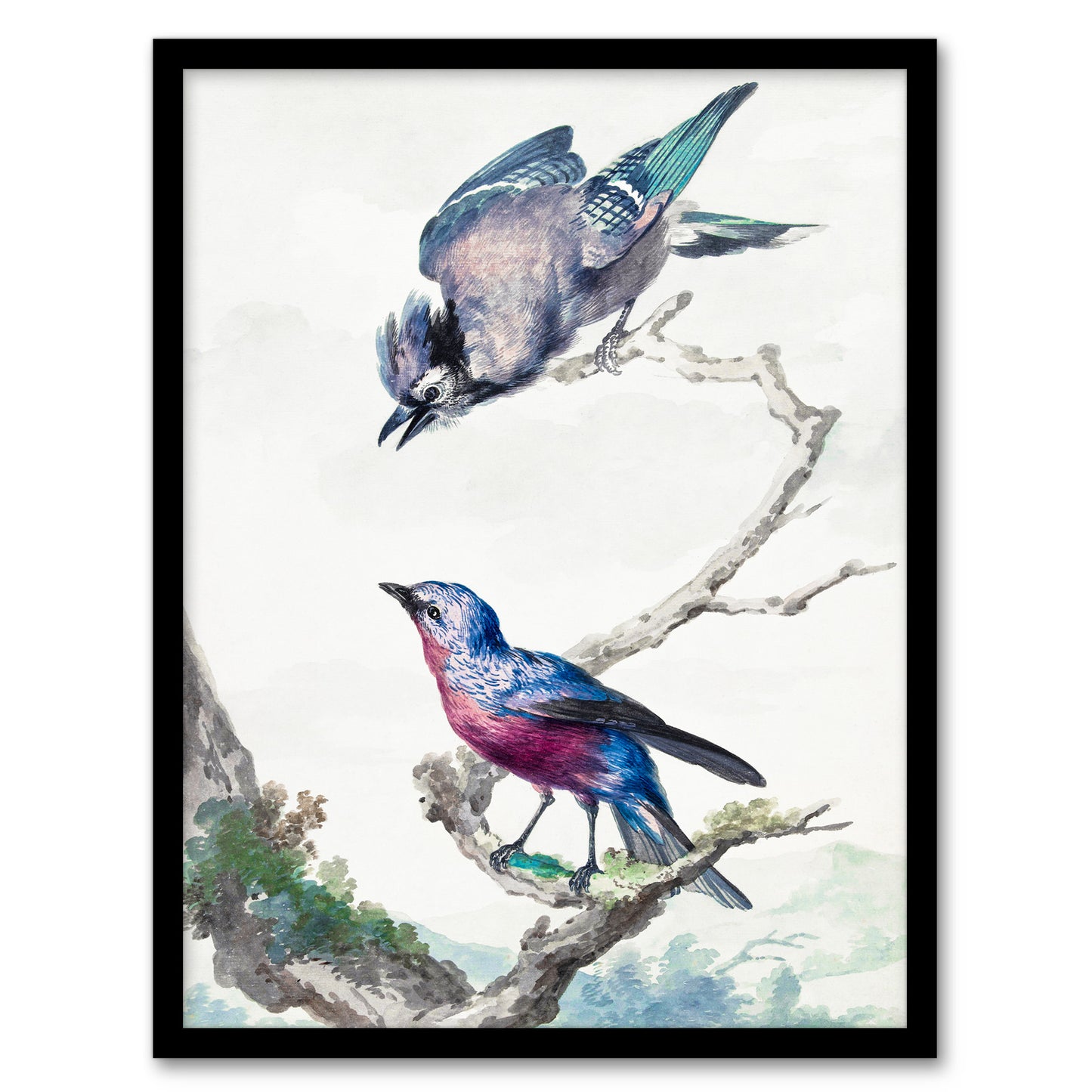 Aert Schouman Framed Wall Art Blue Jay and a Purple Breasted Cotinga Home Décor