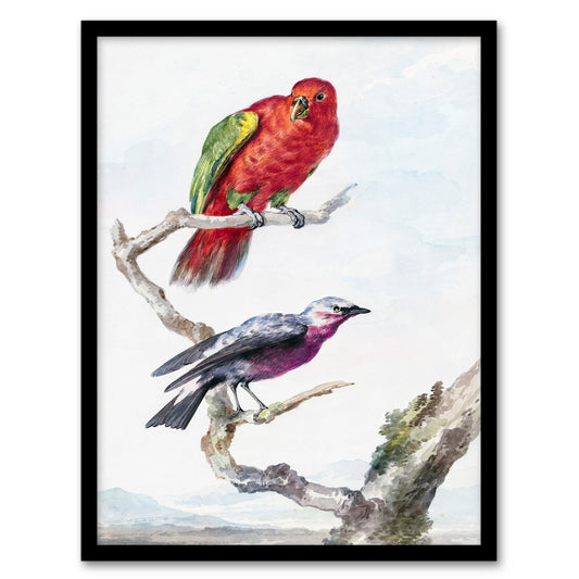 Aert Schouman Framed Wall Art Red Green Parrot and Bird Watercolour Home Décor