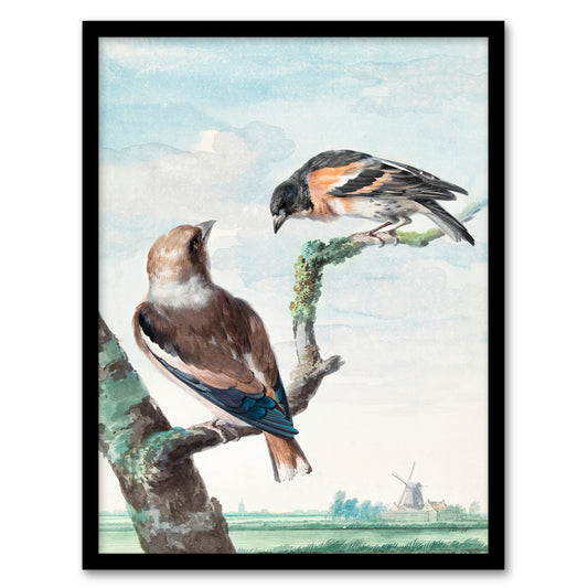 Aert Schouman Framed Wall Art Two Hawfinch Birds in Rural Landscape Home Décor