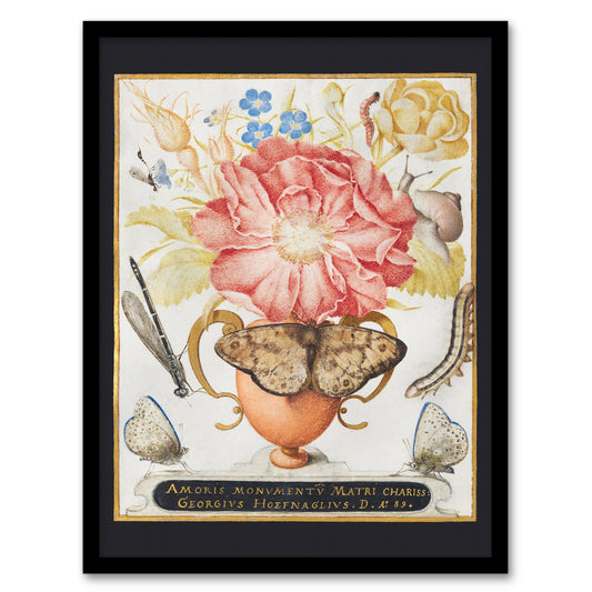 Joris Hoefnagel Framed Wall Art Flowers Snail Insects and Butterflies Home Décor