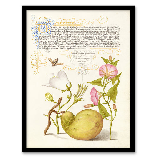 Model Book of Calligraphy Framed Wall Art Beetle Flowers and Gourd Home Décor