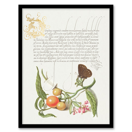 Model Book of Calligraphy Framed Wall Art Butterfly Cherries and Milkwort